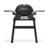 Weber Q-1200N гриль газовый с подставкой